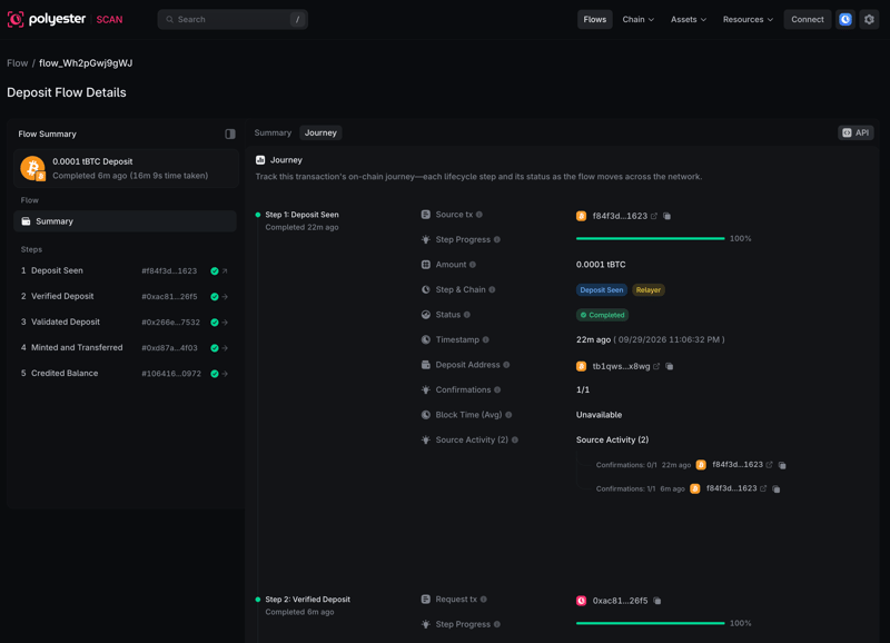 Deposit Journey showing source transaction, confirmation progress, and lifecycle steps