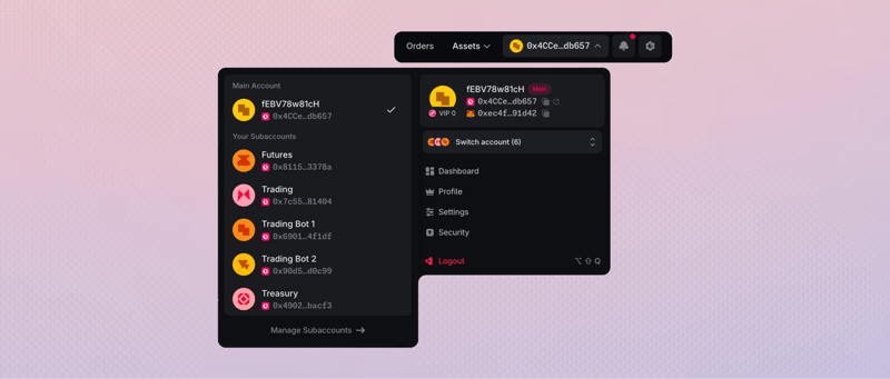 Account switcher with Main Account selected
