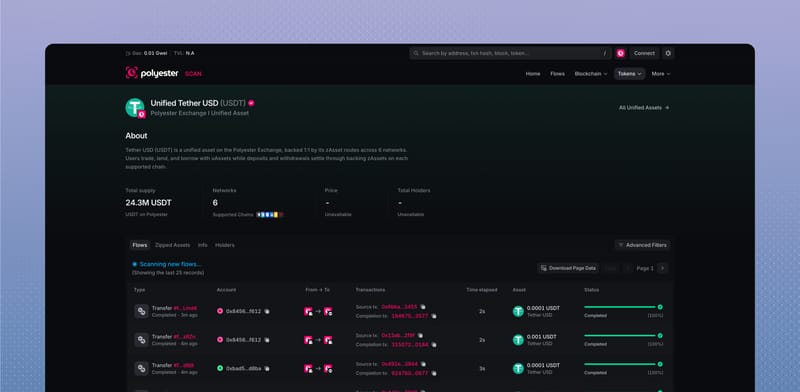 Unified USDT page with supply, supported chains, and related Flows