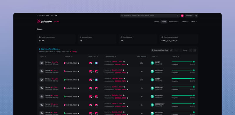 Flows directory with type, account, chains, transactions, elapsed time, and status