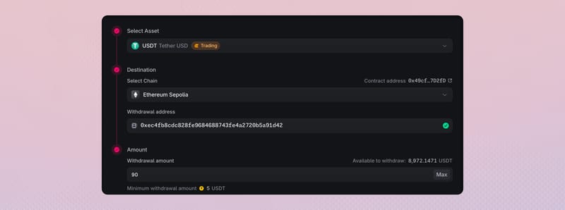 Withdraw form with Ethereum Sepolia, destination address, and 90 USDT