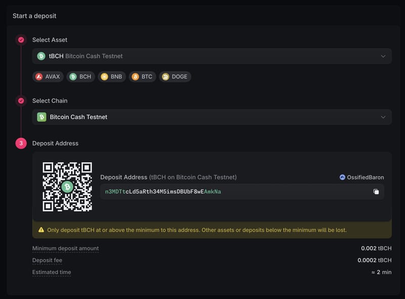 A Bitcoin Cash Testnet deposit showing tBCH, the selected network, a deposit address, and route details.
