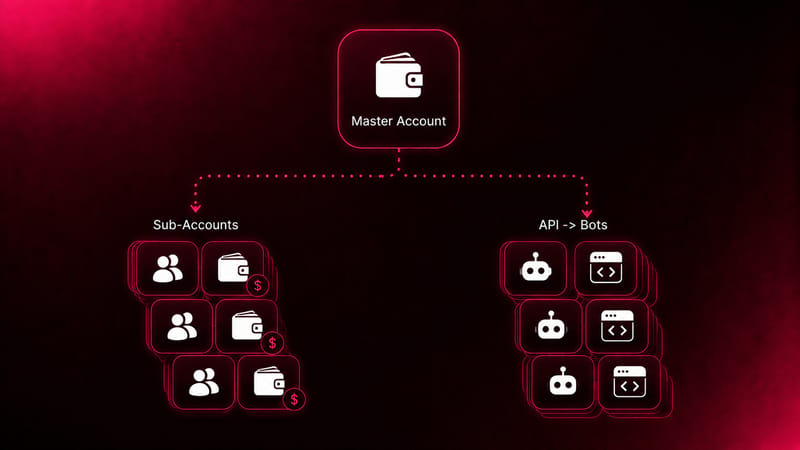 What Smart Wallets Enable