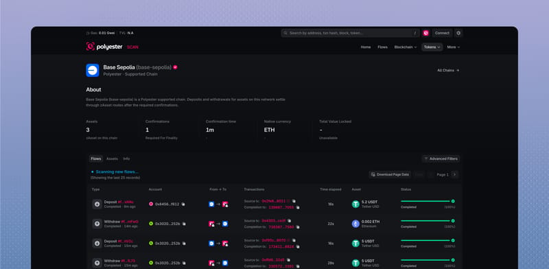 Base Sepolia chain page with confirmations, native currency, assets, and related Flows